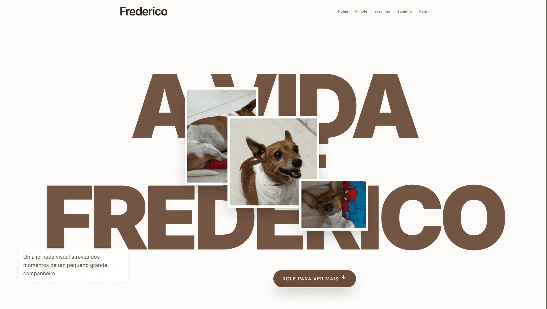 imagem de projeto